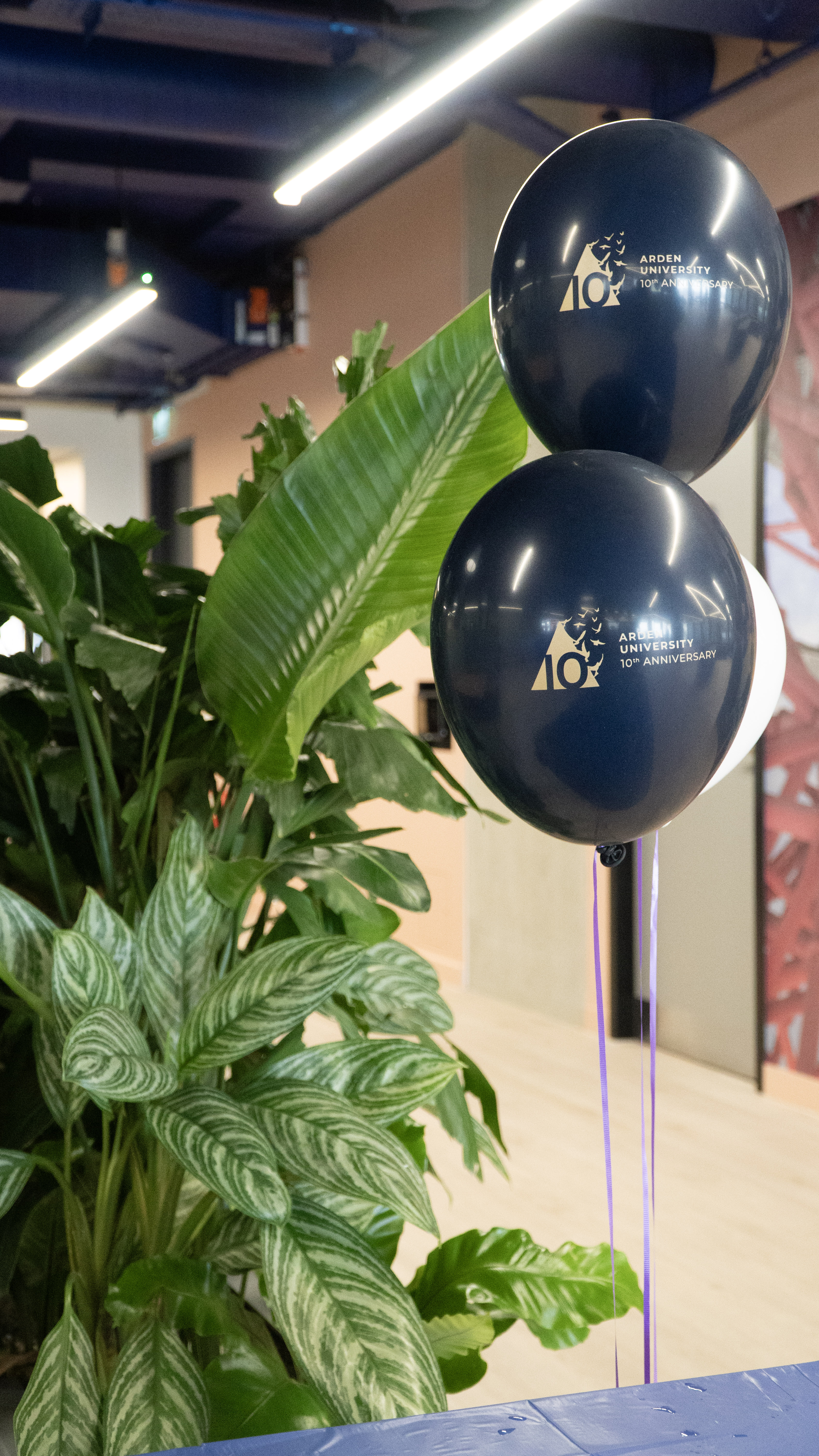 Arden 10 Years Anniversary 25