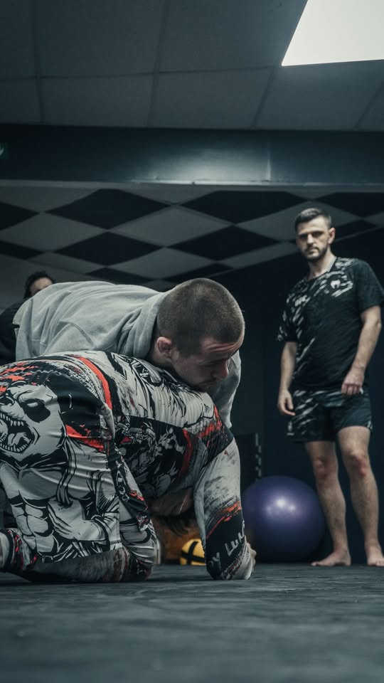 bjj portrait